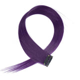 Dark Purple Clip On Coloured Hair Extension Colorful Highlights