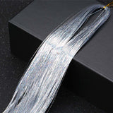 Silver Sparkle Holographic Hair Highlight